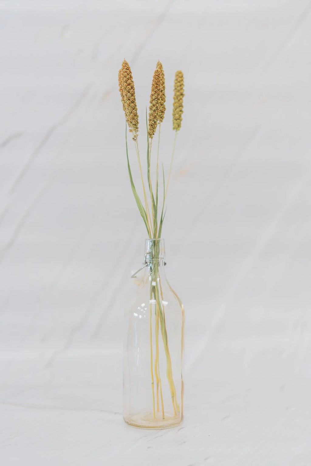 pinard floriculteur paysager grossiste en fleurs séchées mauricie centre du québec