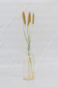 pinard floriculteur paysager grossiste en fleurs séchées mauricie centre du québec