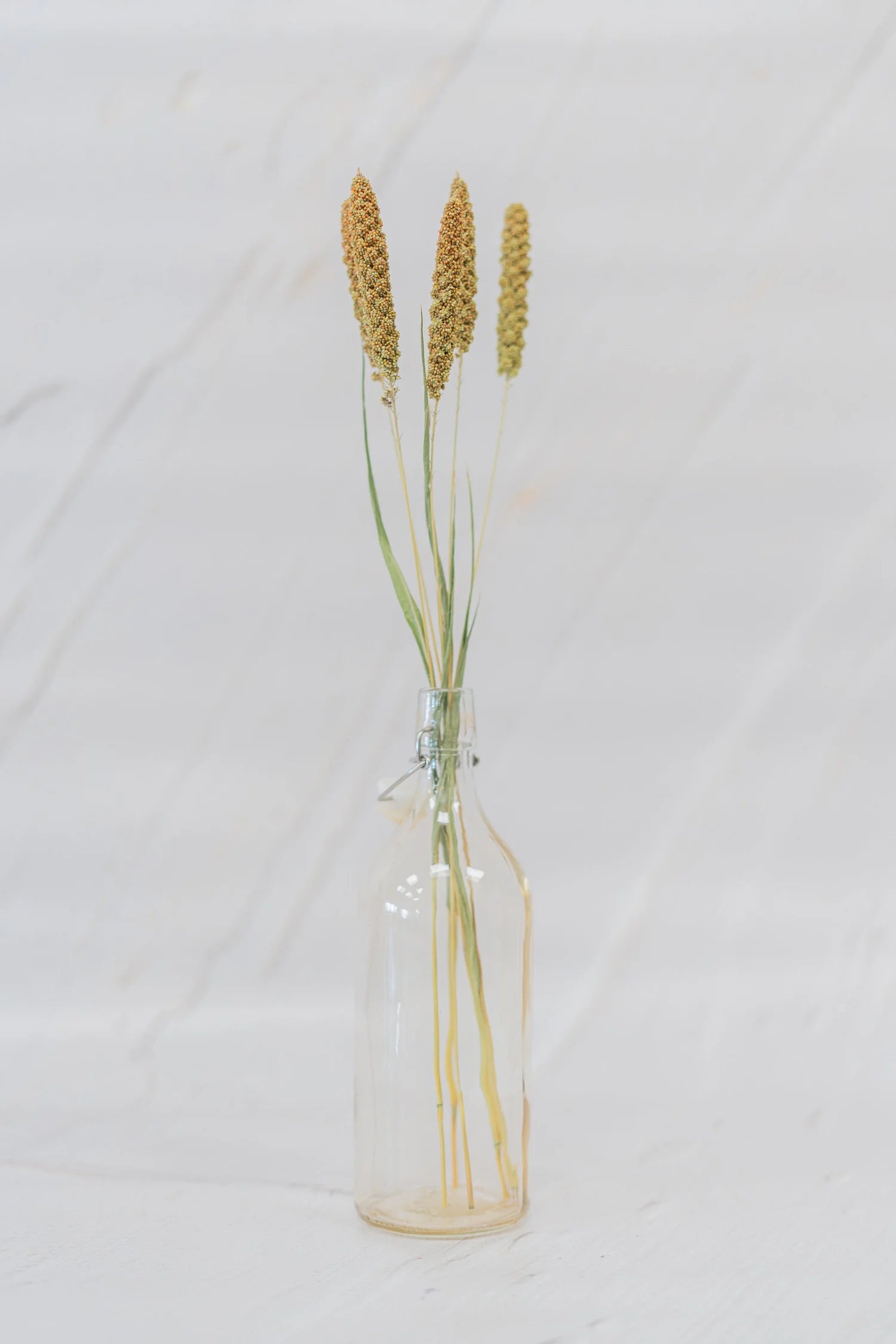 pinard floriculteur paysager grossiste en fleurs séchées mauricie centre du québec