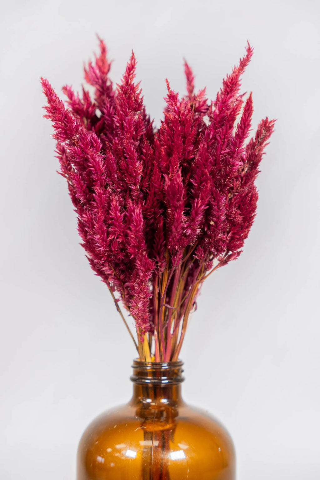 pinard floriculteur paysager grossiste en fleurs séchées mauricie centre du québec