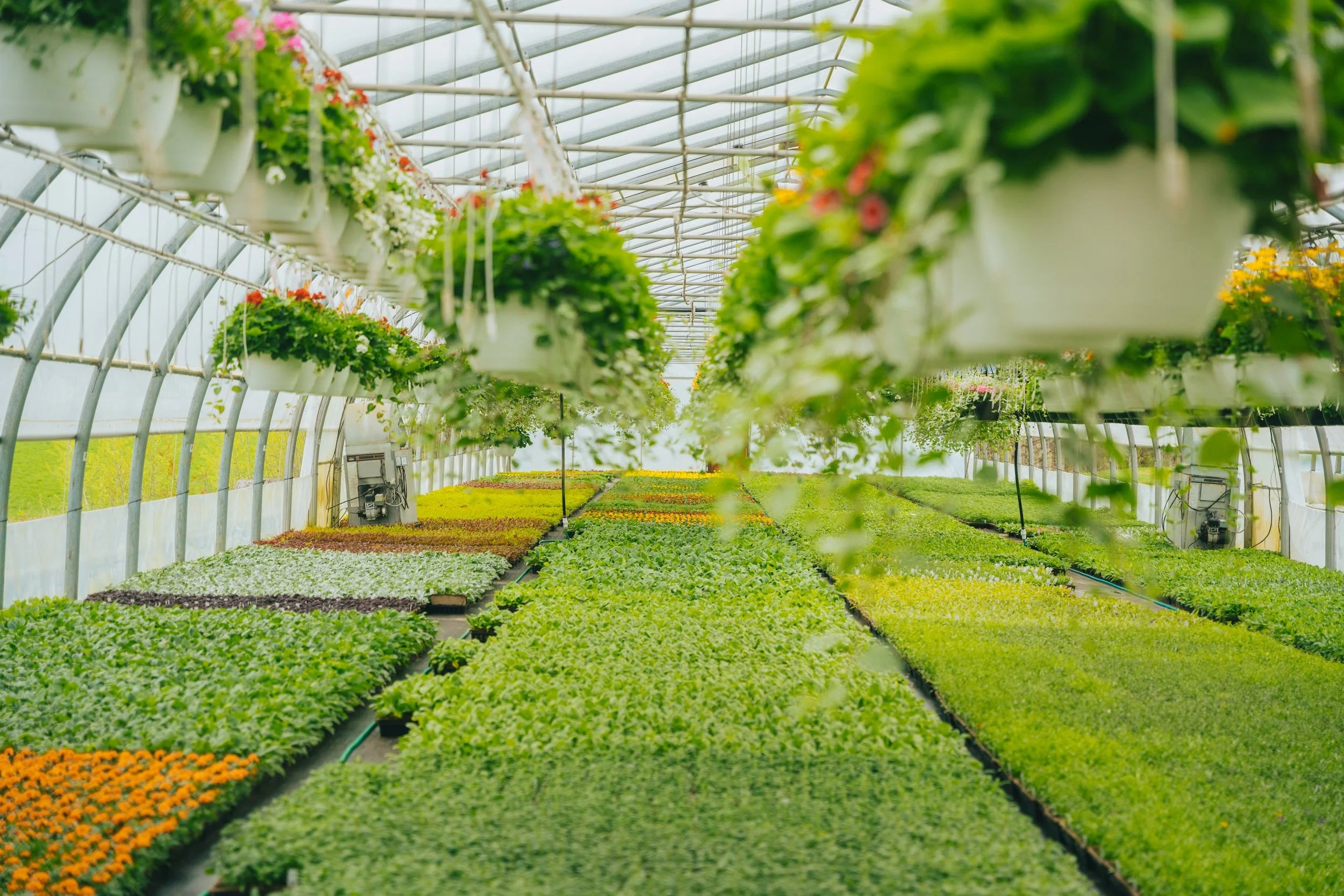 pinard floriculteur paysager aménagement paysager production en serre entretien paysager mauricie centre du québec