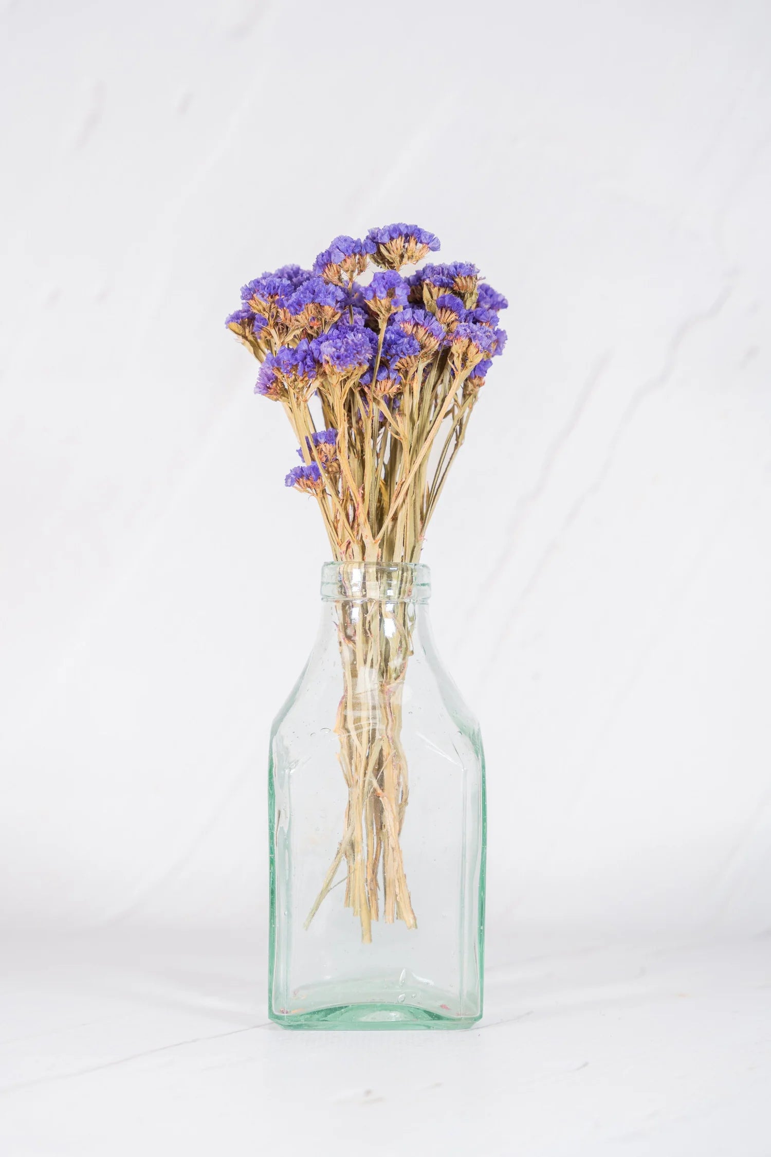 pinard floriculteur paysager grossiste en fleurs séchées mauricie centre du québec