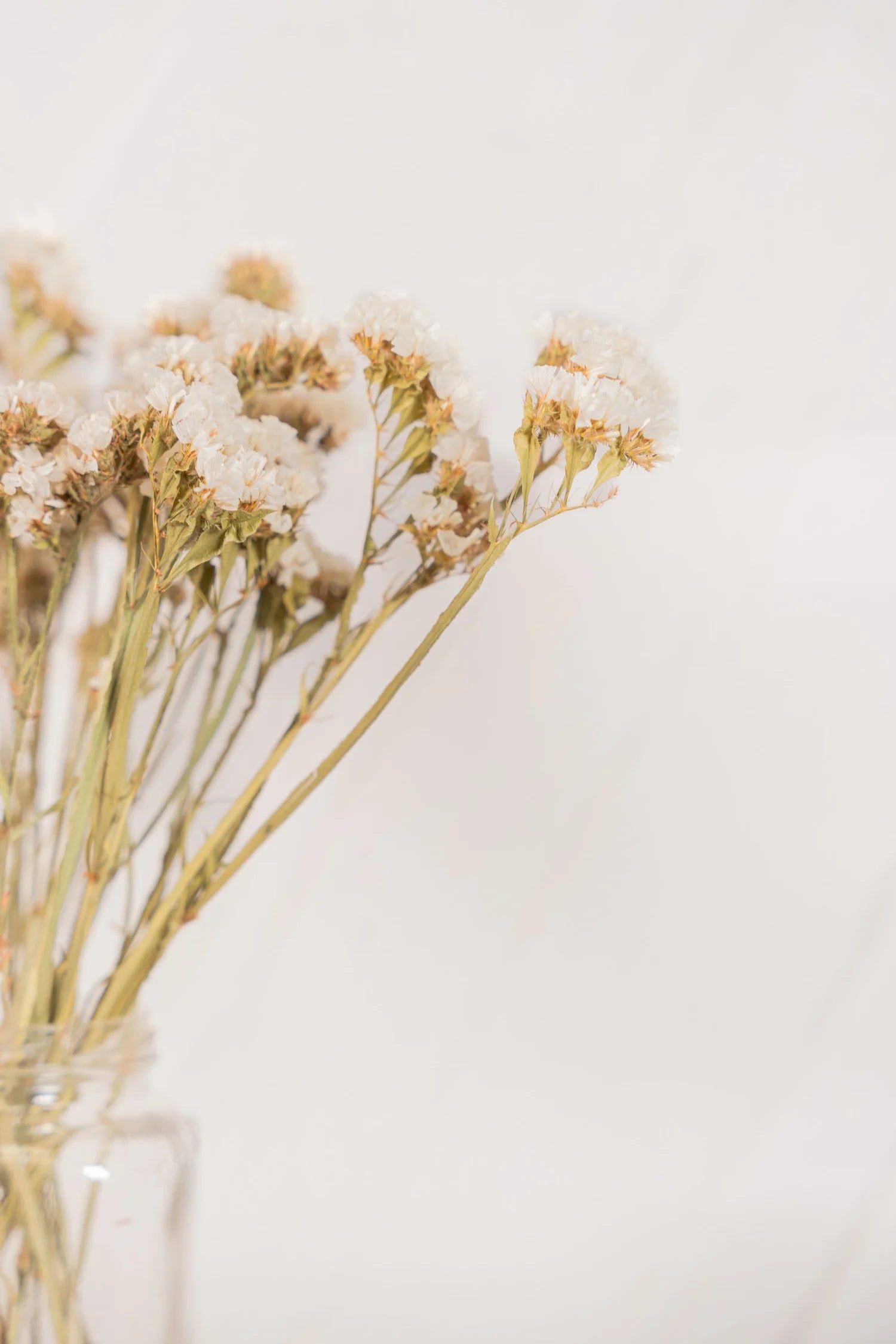 pinard floriculteur paysager grossiste en fleurs séchées mauricie centre du québec