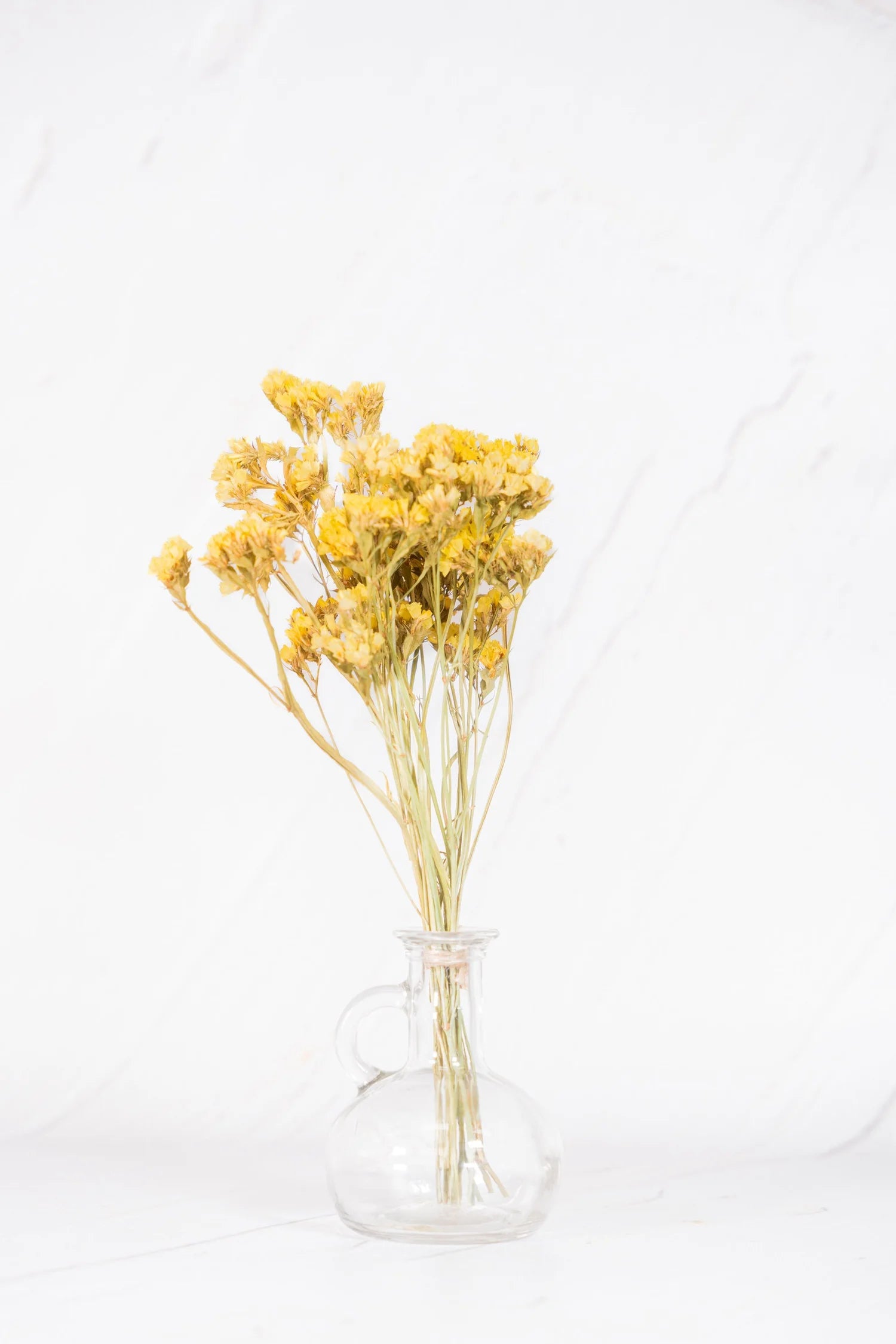 pinard floriculteur paysager grossiste en fleurs séchées mauricie centre du québec