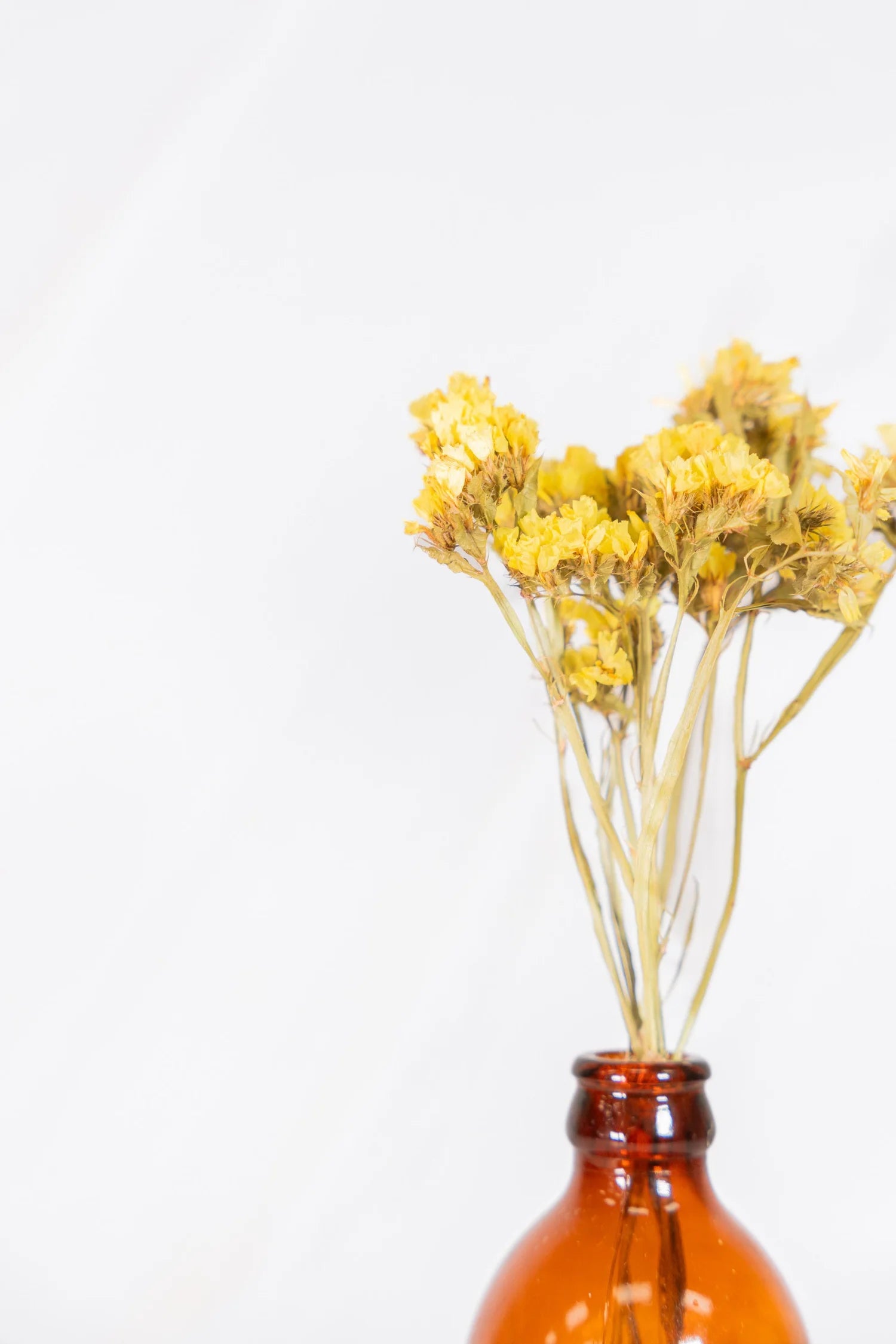 pinard floriculteur paysager grossiste en fleurs séchées mauricie centre du québec
