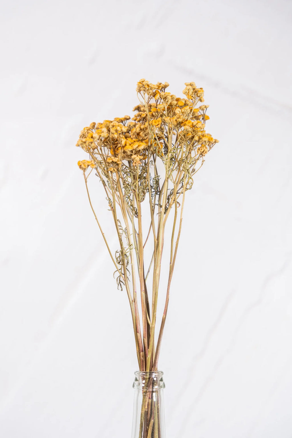 pinard floriculteur paysager grossiste en fleurs séchées mauricie centre du québec