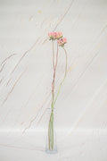 Pivoine Cœur de Cerise