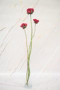 Pivoine Sorbet Framboise