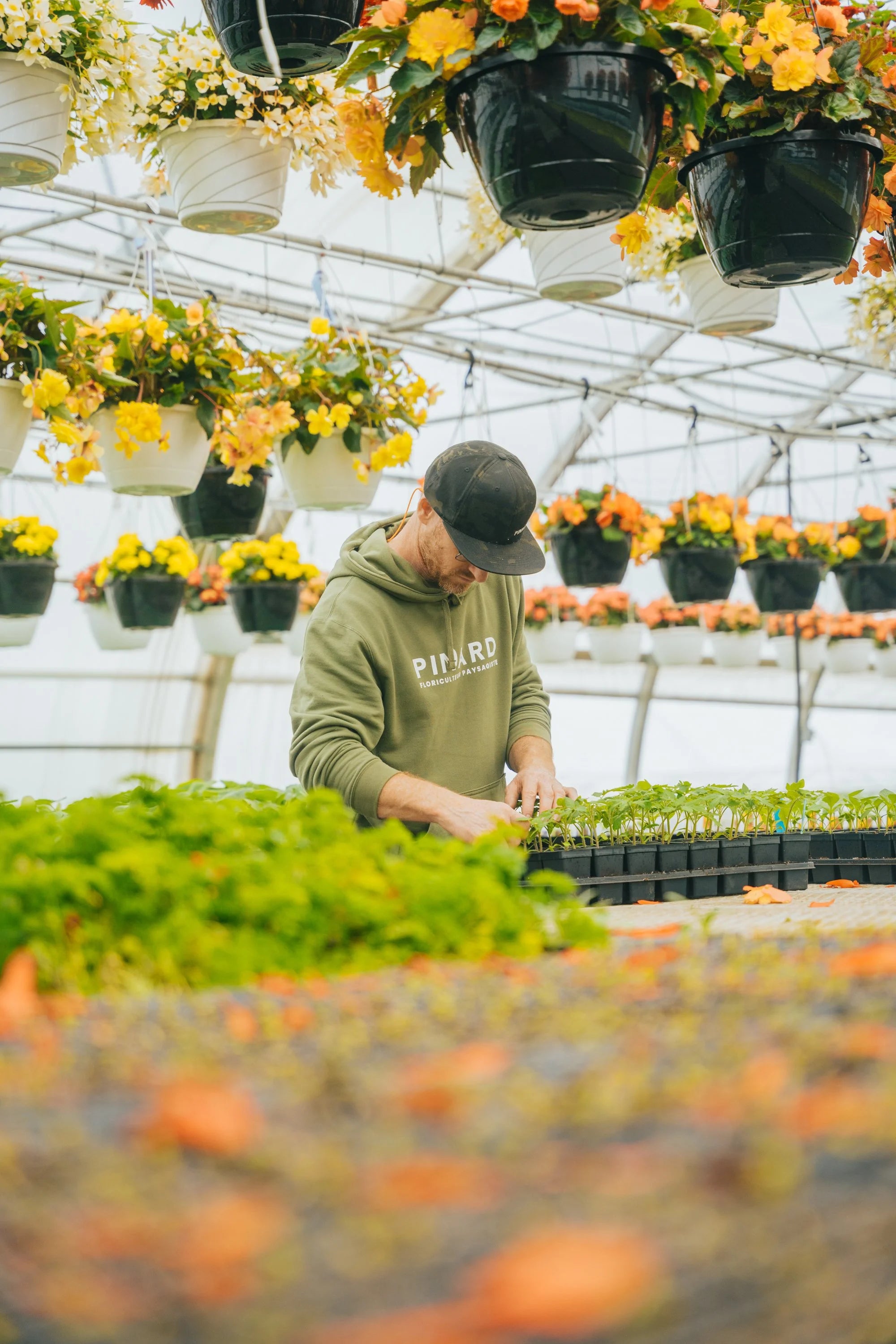 pinard floriculteur paysager aménagement paysager production en serre entretien paysager mauricie centre du québec