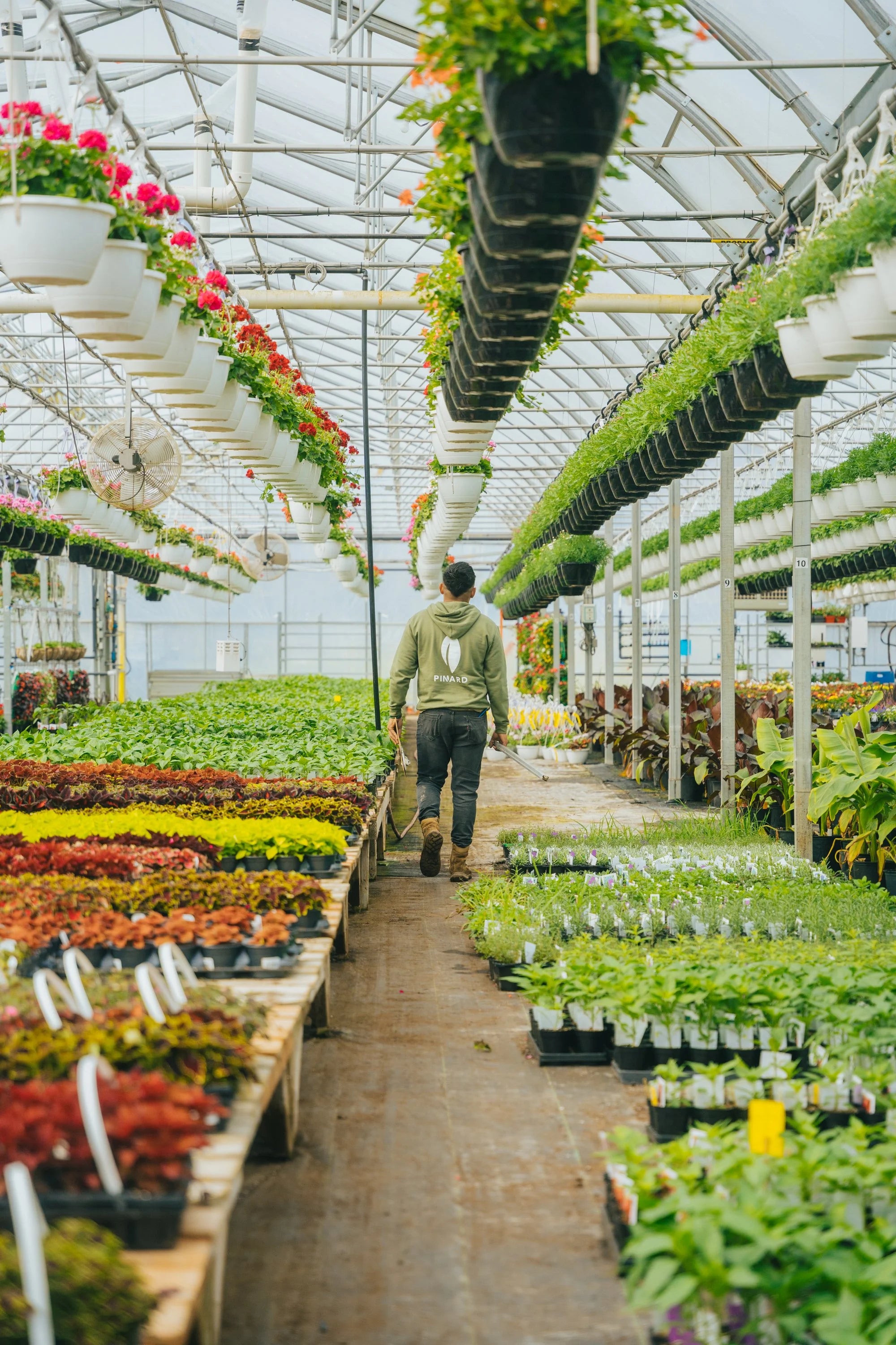 pinard floriculteur paysager aménagement paysager production en serre entretien paysager mauricie centre du québec